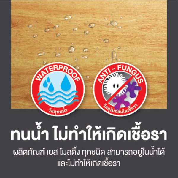 ไม้บัวบน - BB001 - Image 5